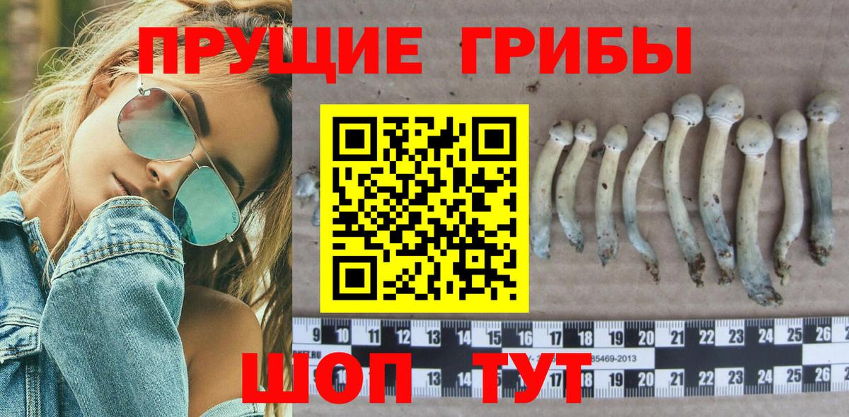 Галлюциногенные грибы Magic Shrooms Асбест